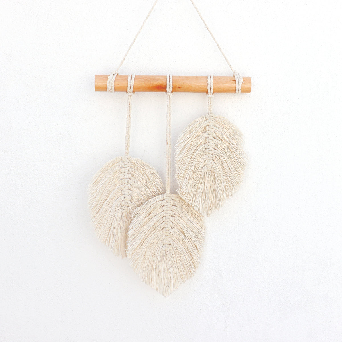 Plumes