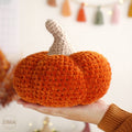 Citrouille moelleuse