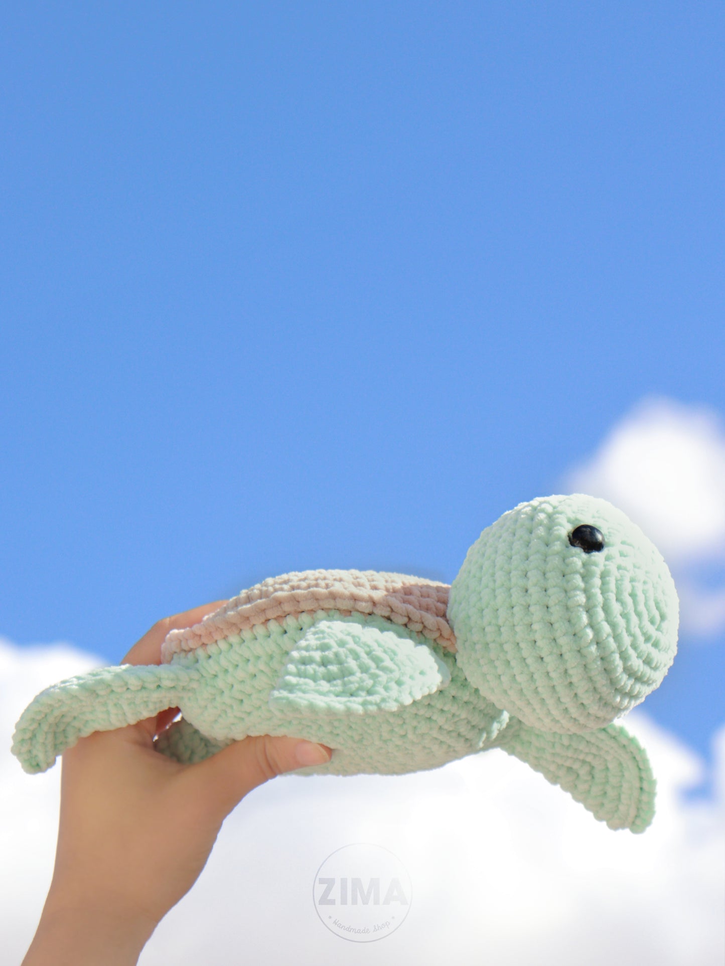 Turtle