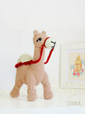 Camel